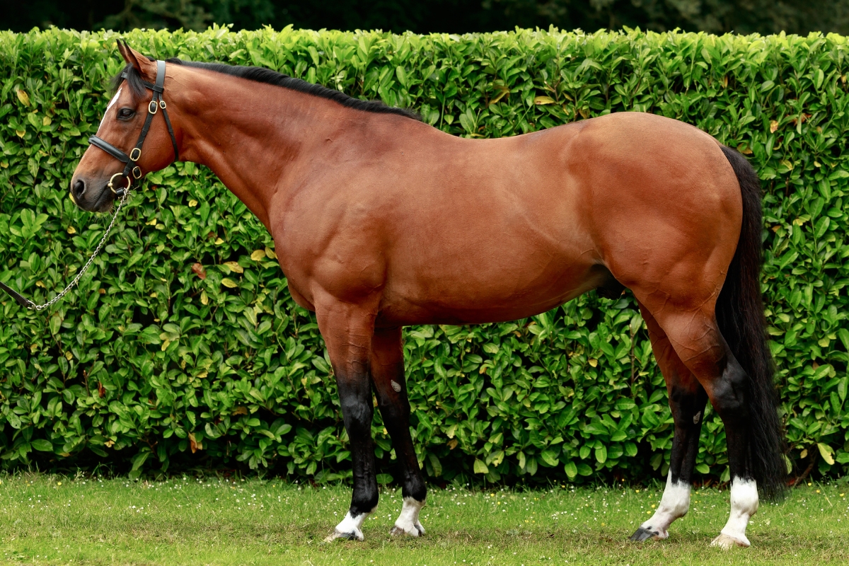 Gleneagles