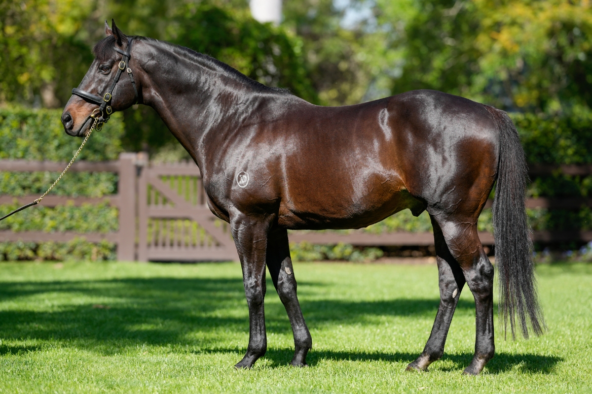 Pierro