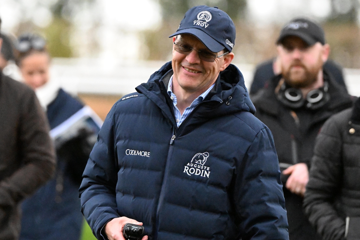 Ballydoyle Gallery 17