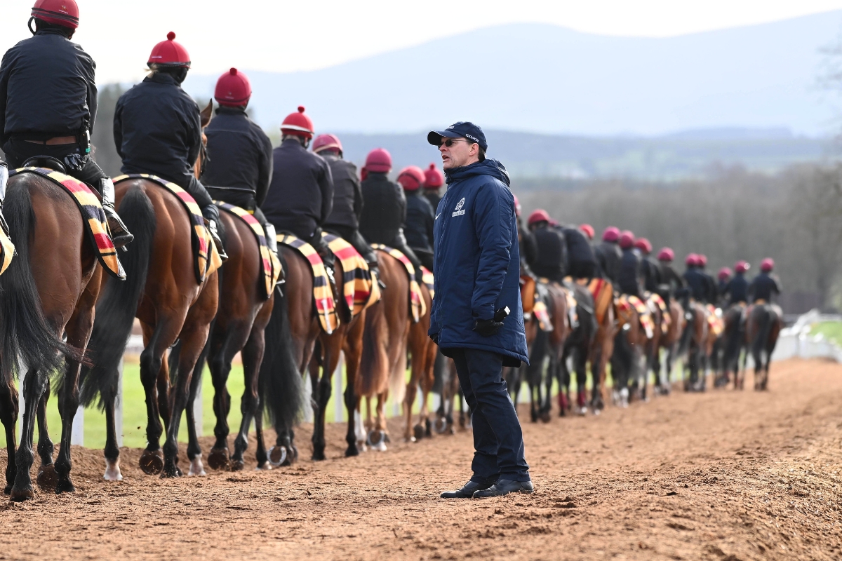 Ballydoyle Gallery 20