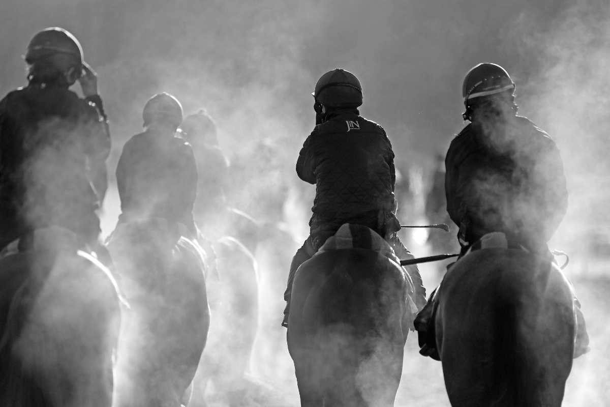 Ballydoyle Gallery 3