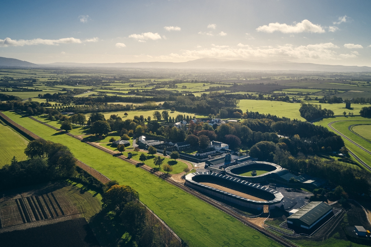 Ballydoyle Gallery 7