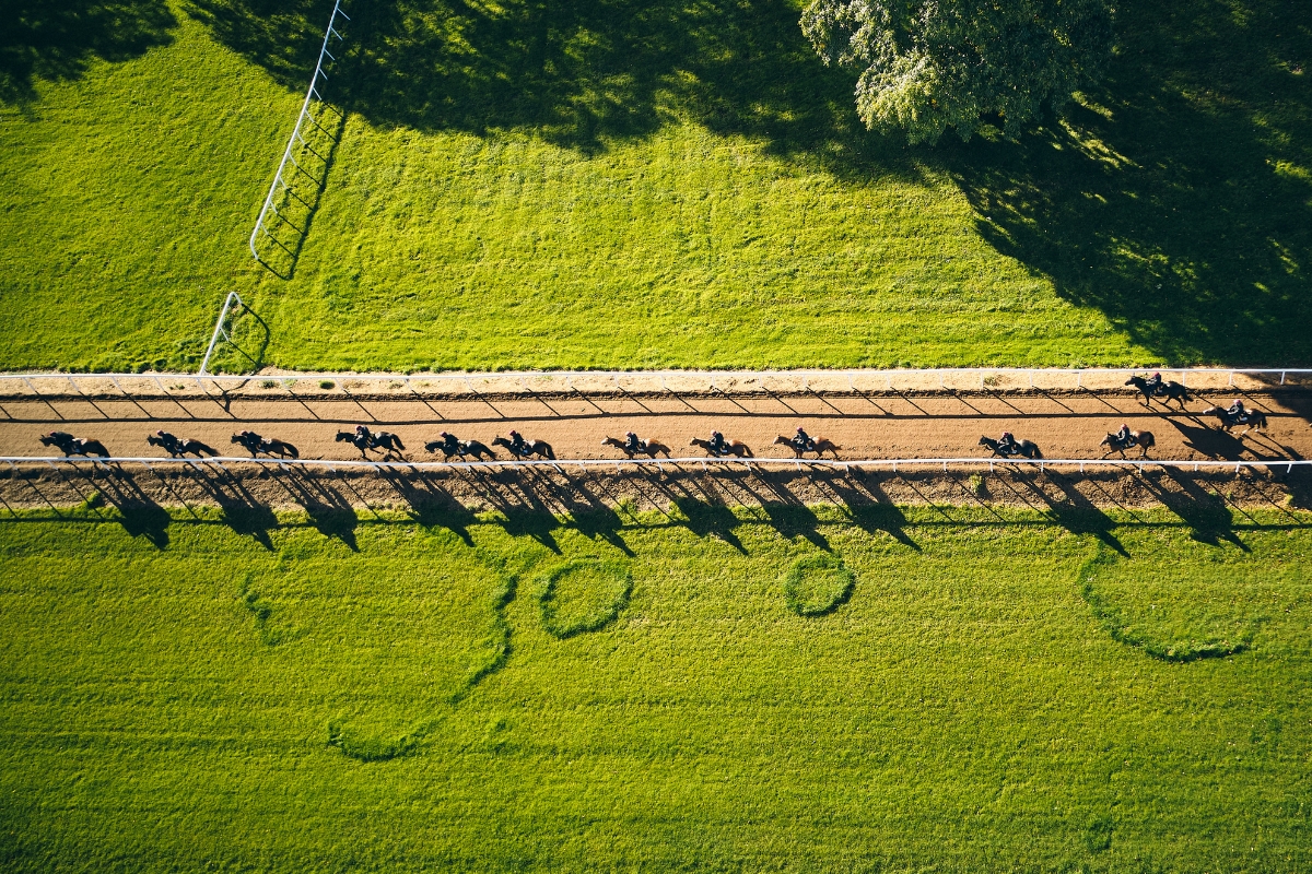 Ballydoyle Gallery 8