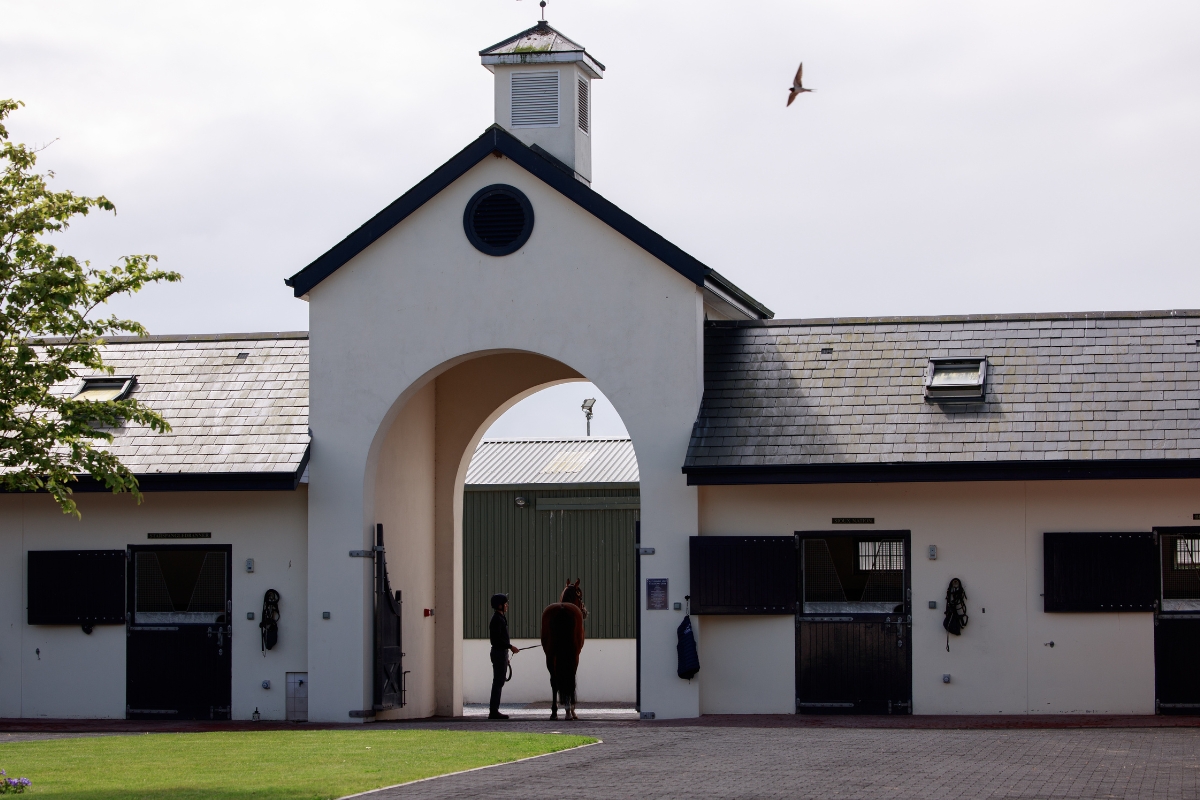 Castlehyde Gallery National Hunt