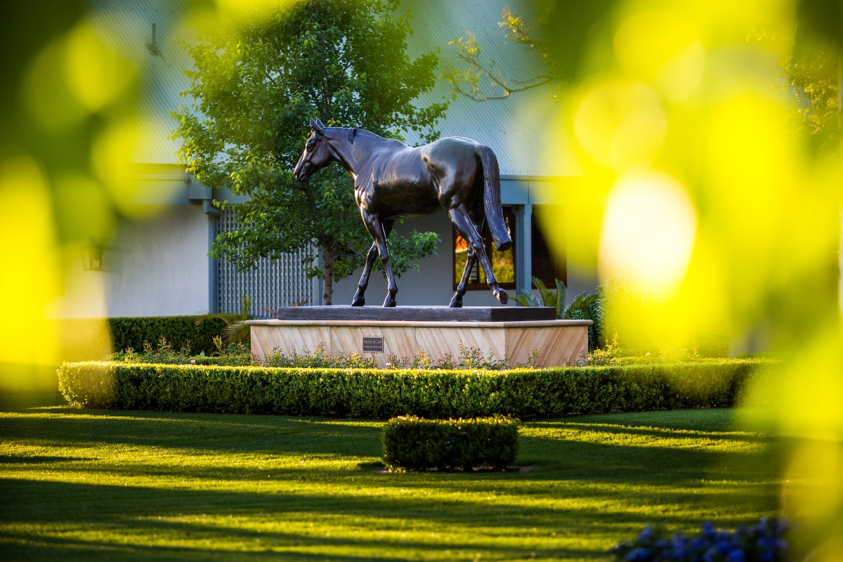 Encosta de Lago statue Gallery Australia