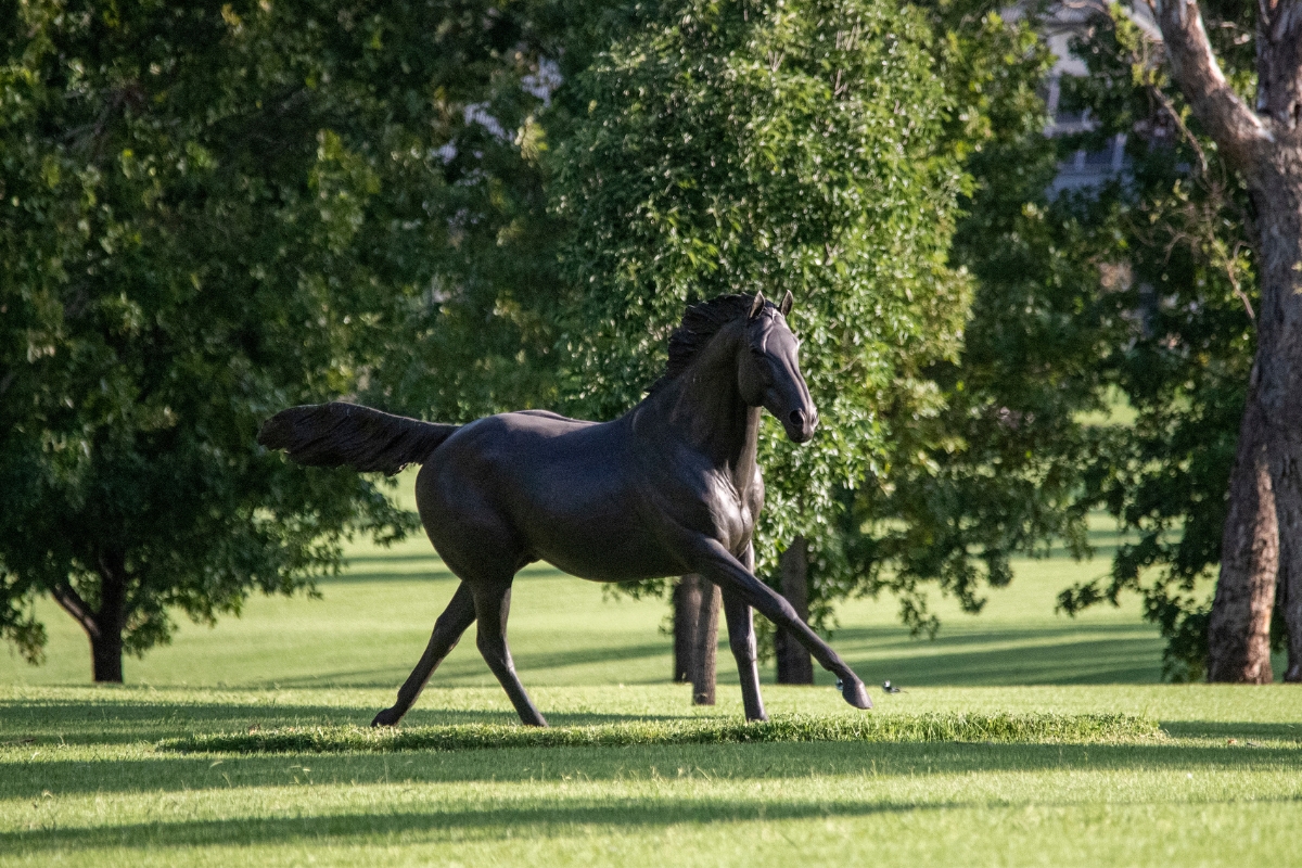 Fastnet Rock statue Gallery Australia