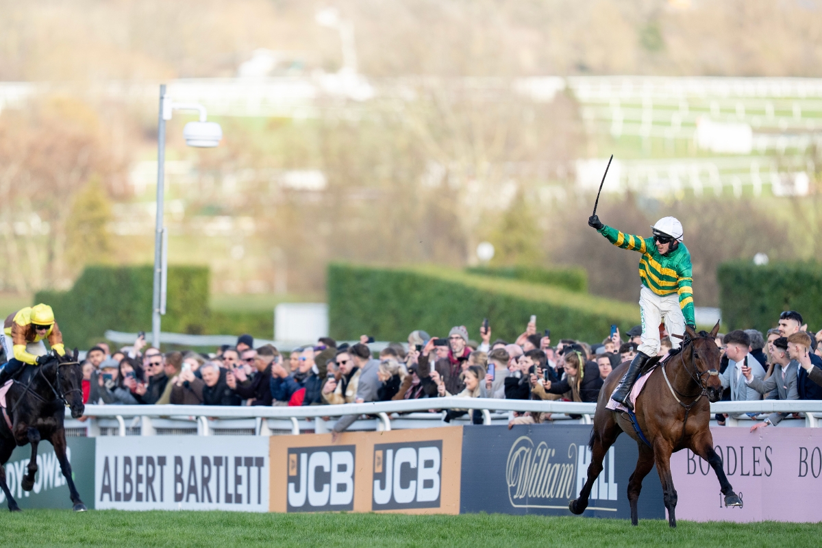 Inothewayurthinkin winning the Cheltenham Gold Cup Gallery National Hunt