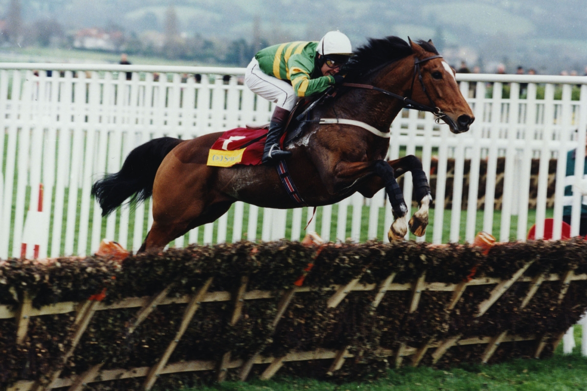 Istabraq Gallery National Hunt